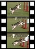 Every Dogs Day logo